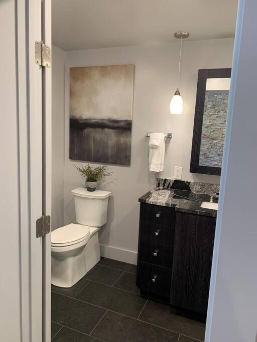 Most Luxurious1Br In Town And Steps To The Gondola Telluride Eksteriør bilde